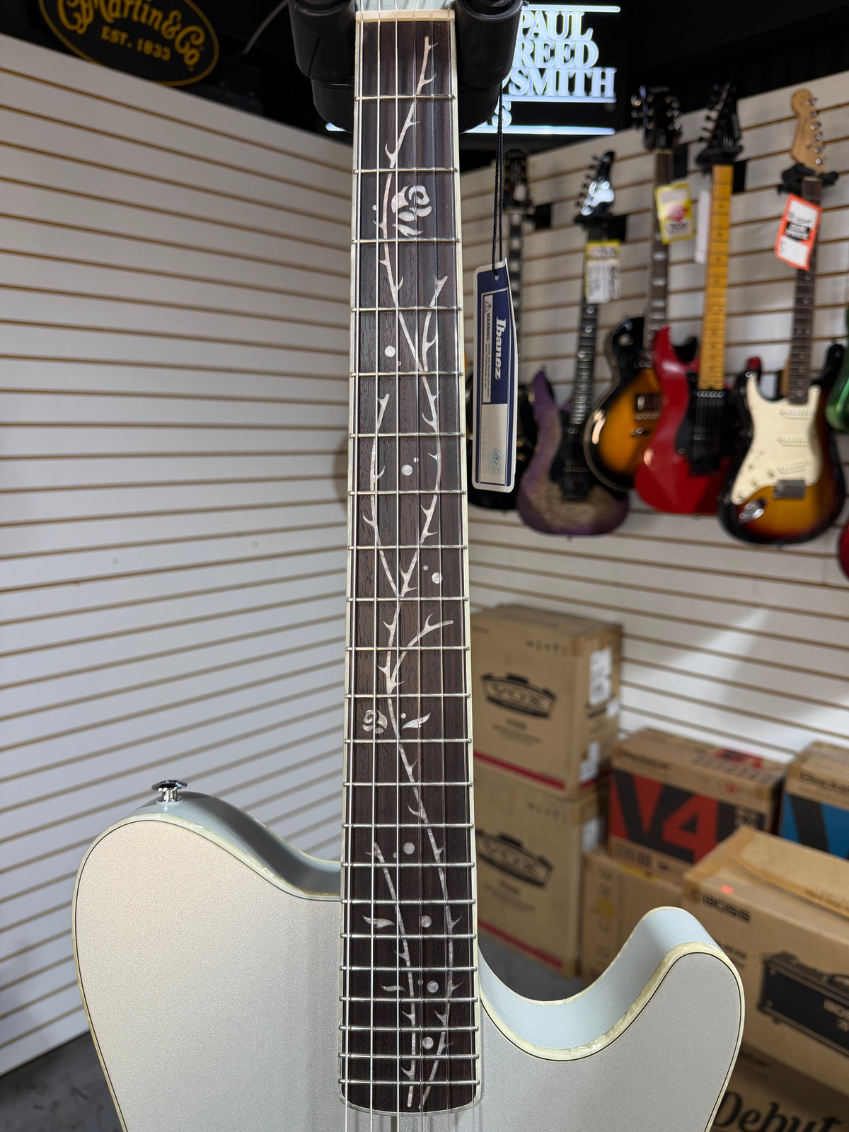 Ibanez TOD10N Silver Metallic Flat