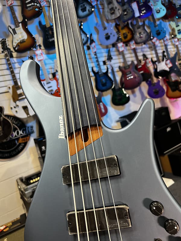 Ibanez Standard EHB1005F Fretless 5-string Bass Guitar - Arctic Ocean Matte 765 GET PLEK'D