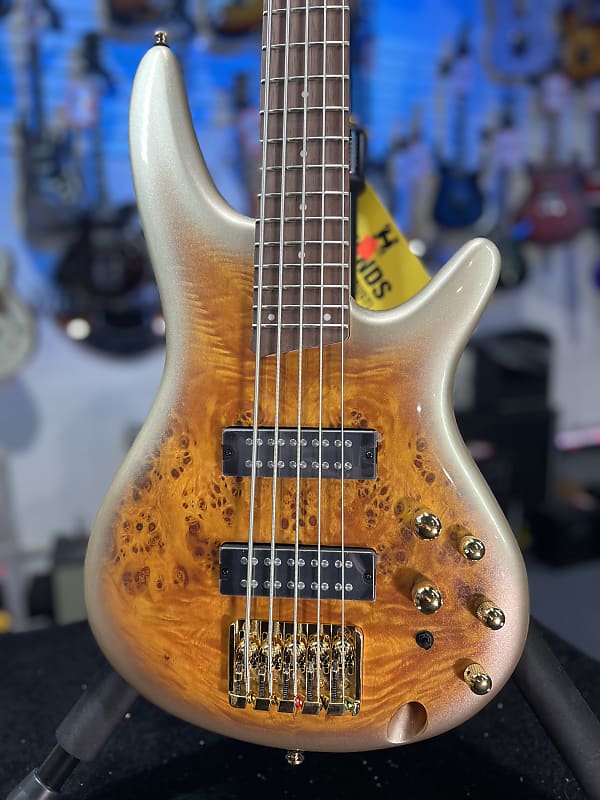 Ibanez SR Standard 5-string Electric Bass - Mars Gold Metallic Burst  Authorized Dealer! 103 GET PLEK’D!