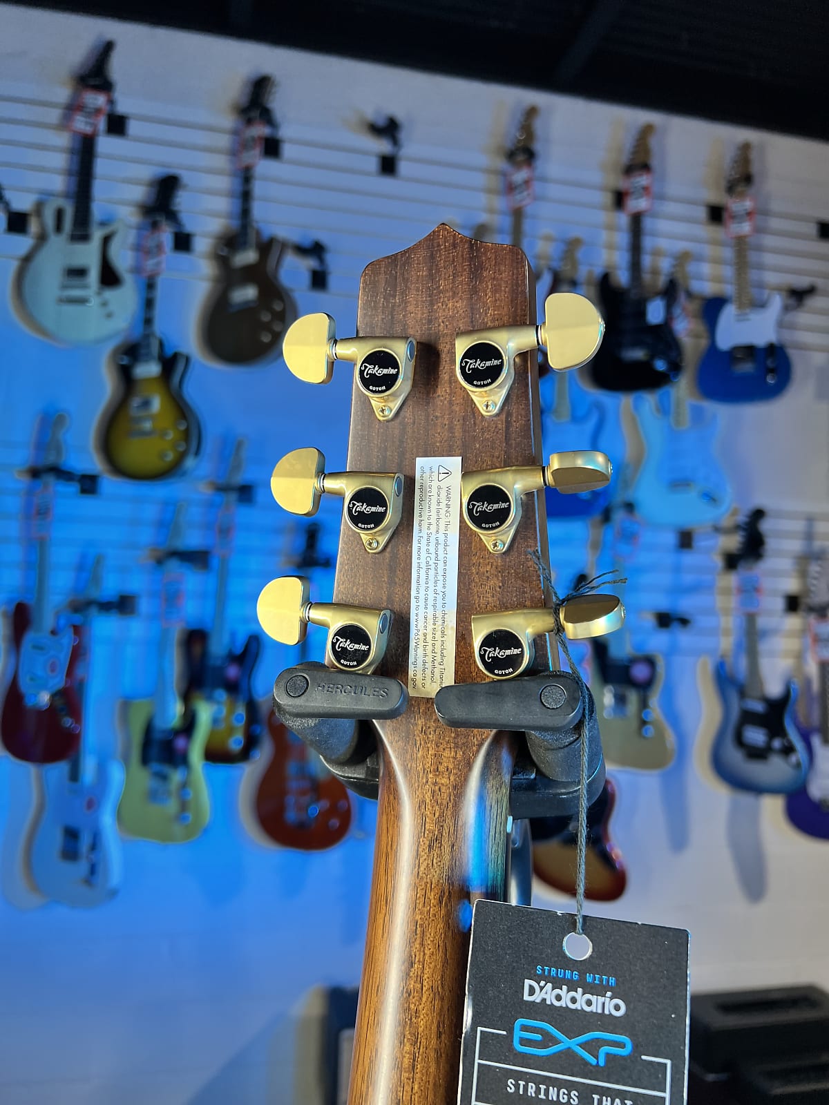 USED Takamine Custom Shop SG-CPD-AC1 Solid Adirondack Spruce / Cocobolo Guitar, with Case