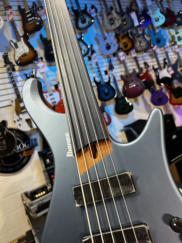 Ibanez Standard EHB1005F Fretless 5-string Bass Guitar - Arctic Ocean Matte 768 GET PLEK'D