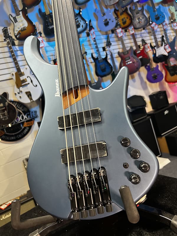 Ibanez Standard EHB1005F Fretless 5-string Bass Guitar - Arctic Ocean Matte 771 GET PLEK'D