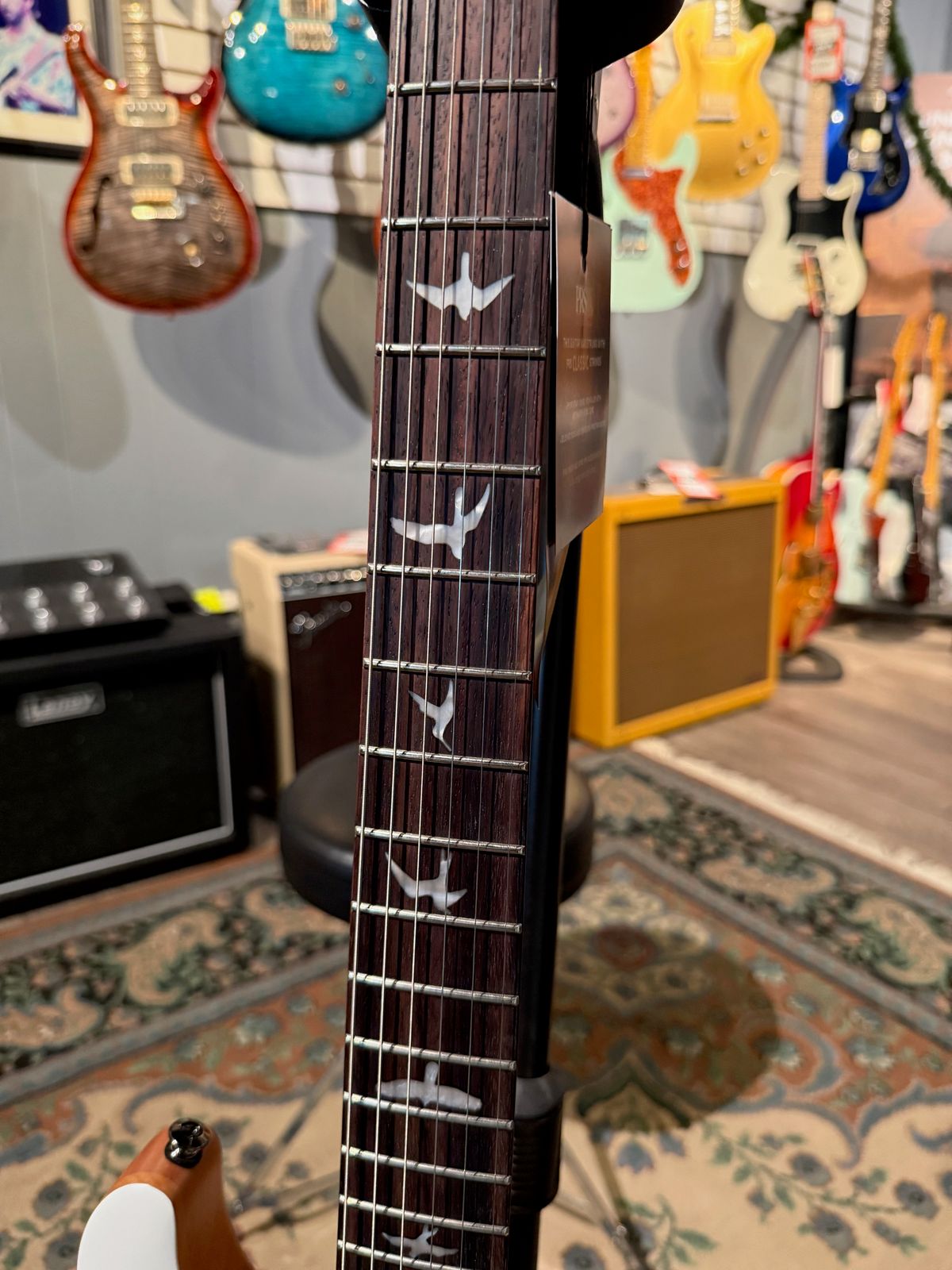 PRS SE CE 24 Satin Flat White Top, C&M Exclusive 782