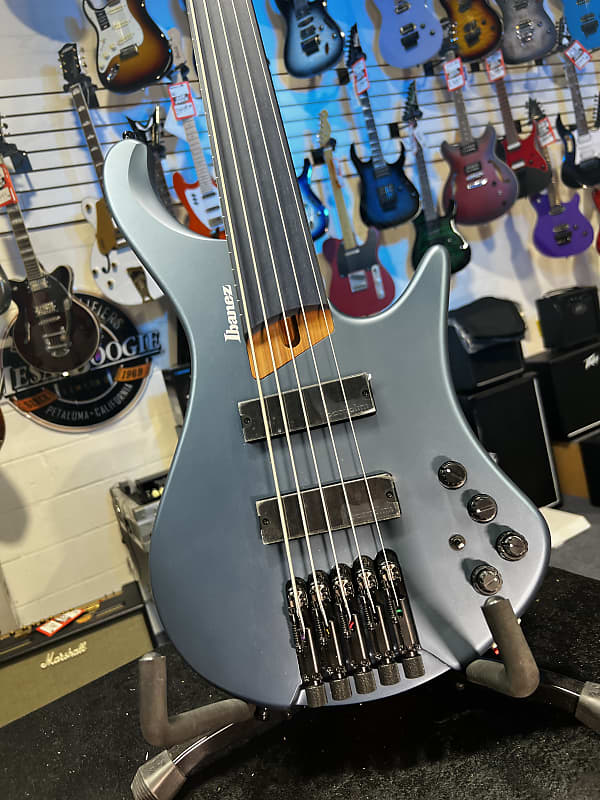 Ibanez Standard EHB1005F Fretless 5-string Bass Guitar - Arctic Ocean Matte 798 GET PLEK'D