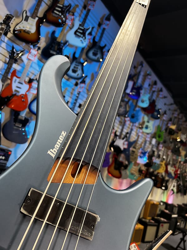 Ibanez Standard EHB1005F Fretless 5-string Bass Guitar - Arctic Ocean Matte 771 GET PLEK'D