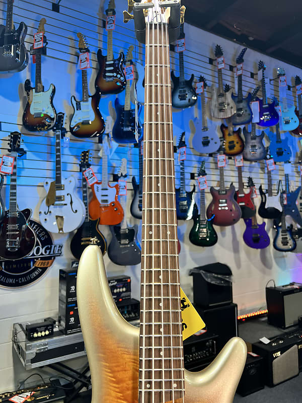 Ibanez SR Standard 5-string Electric Bass - Mars Gold Metallic Burst  Authorized Dealer! 103 GET PLEK’D!