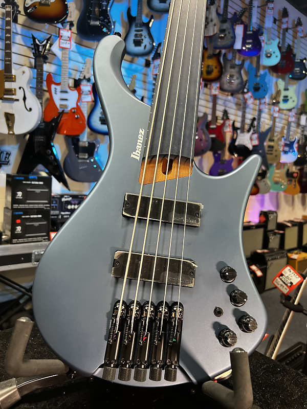 Ibanez Standard EHB1005F Fretless 5-string Bass Guitar - Arctic Ocean Matte 771 GET PLEK'D