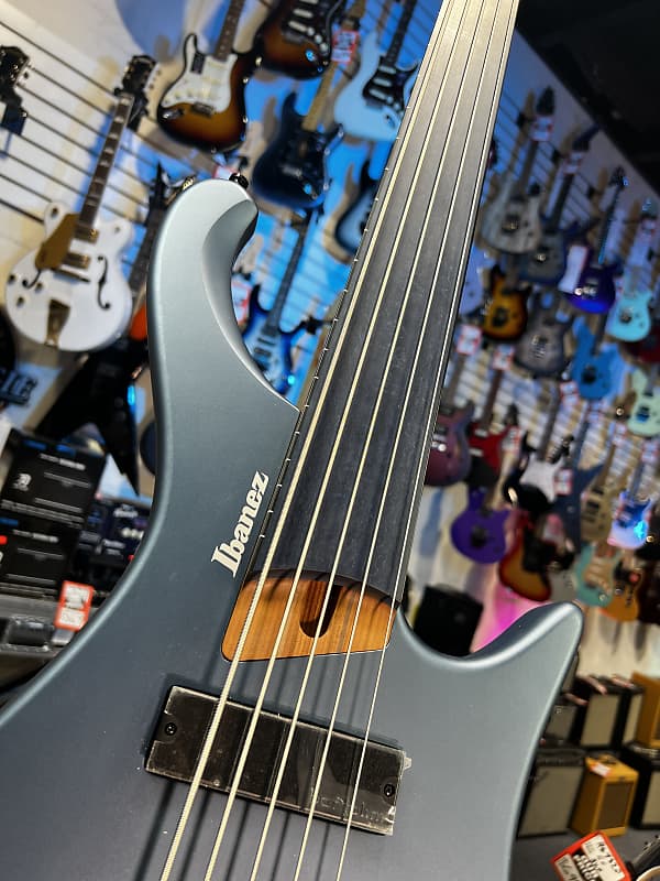 Ibanez Standard EHB1005F Fretless 5-string Bass Guitar - Arctic Ocean Matte 798 GET PLEK'D