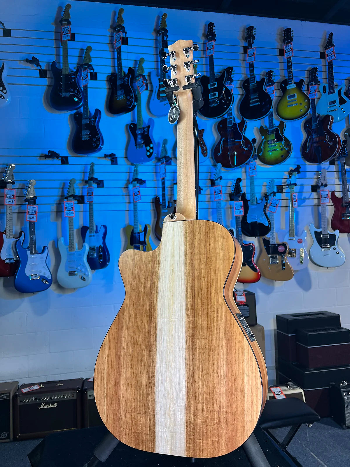 Maton Blackwood Series EBW808C Cutaway Model Authorized Dealer Free Shipping! 927 GET PLEK’D!