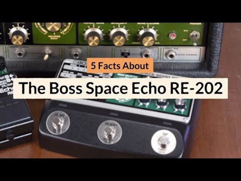 Boss Space Echo RE-202, New, Authorized Dealer, Free Ship