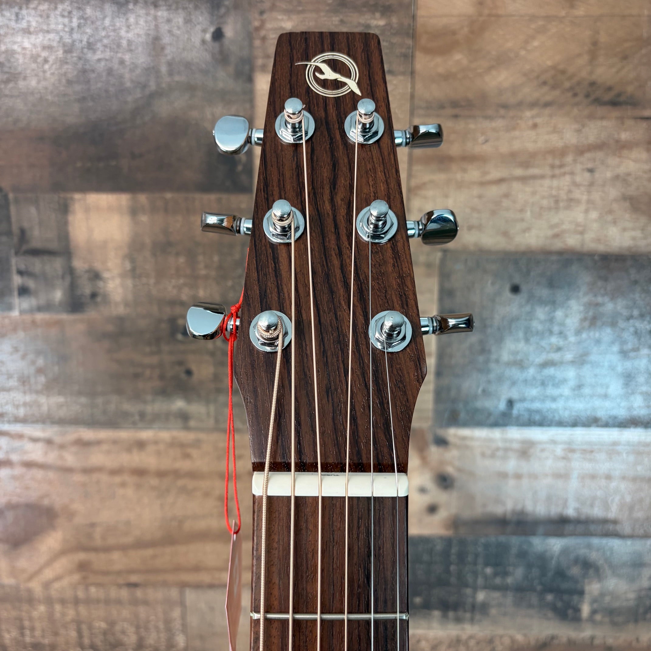 Seagull Guitars S6 Collection 1982 Acoustic Guitar