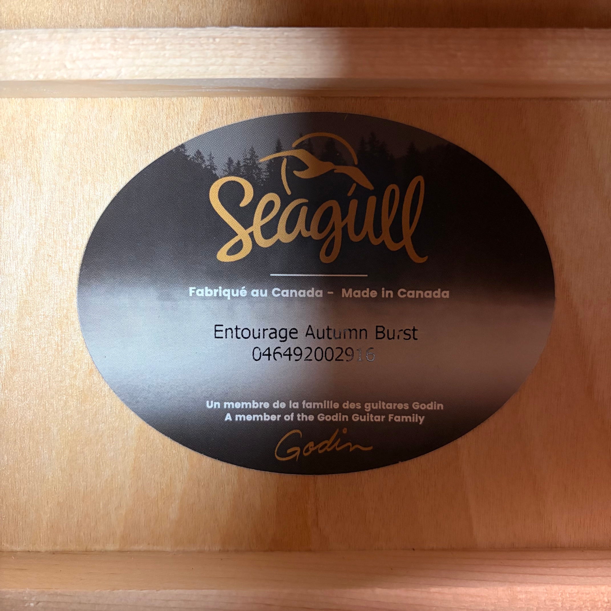 Seagull Entourage Autumn Burst