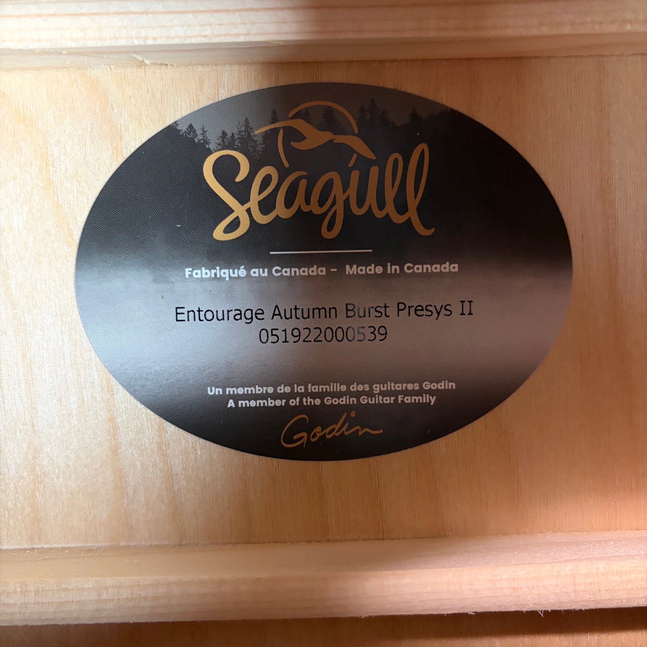 Seagull Entourage Autumn Burst Presys II