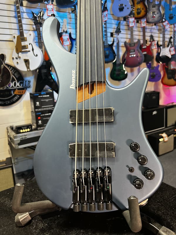 Ibanez Standard EHB1005F Fretless 5-string Bass Guitar - Arctic Ocean Matte 768 GET PLEK'D