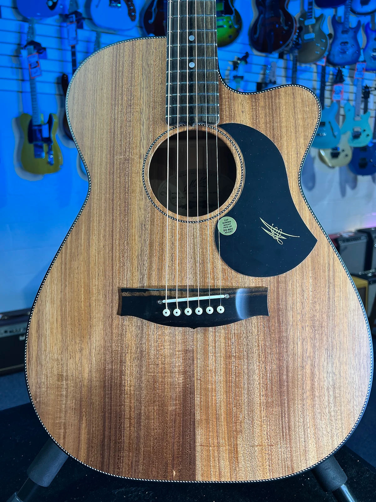 Maton Blackwood Series EBW808C Cutaway Model Authorized Dealer Free Shipping! 927 GET PLEK’D!