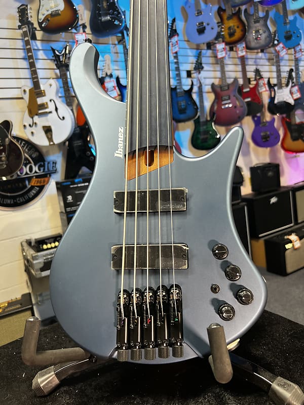 Ibanez Standard EHB1005F Fretless 5-string Bass Guitar - Arctic Ocean Matte 771 GET PLEK'D