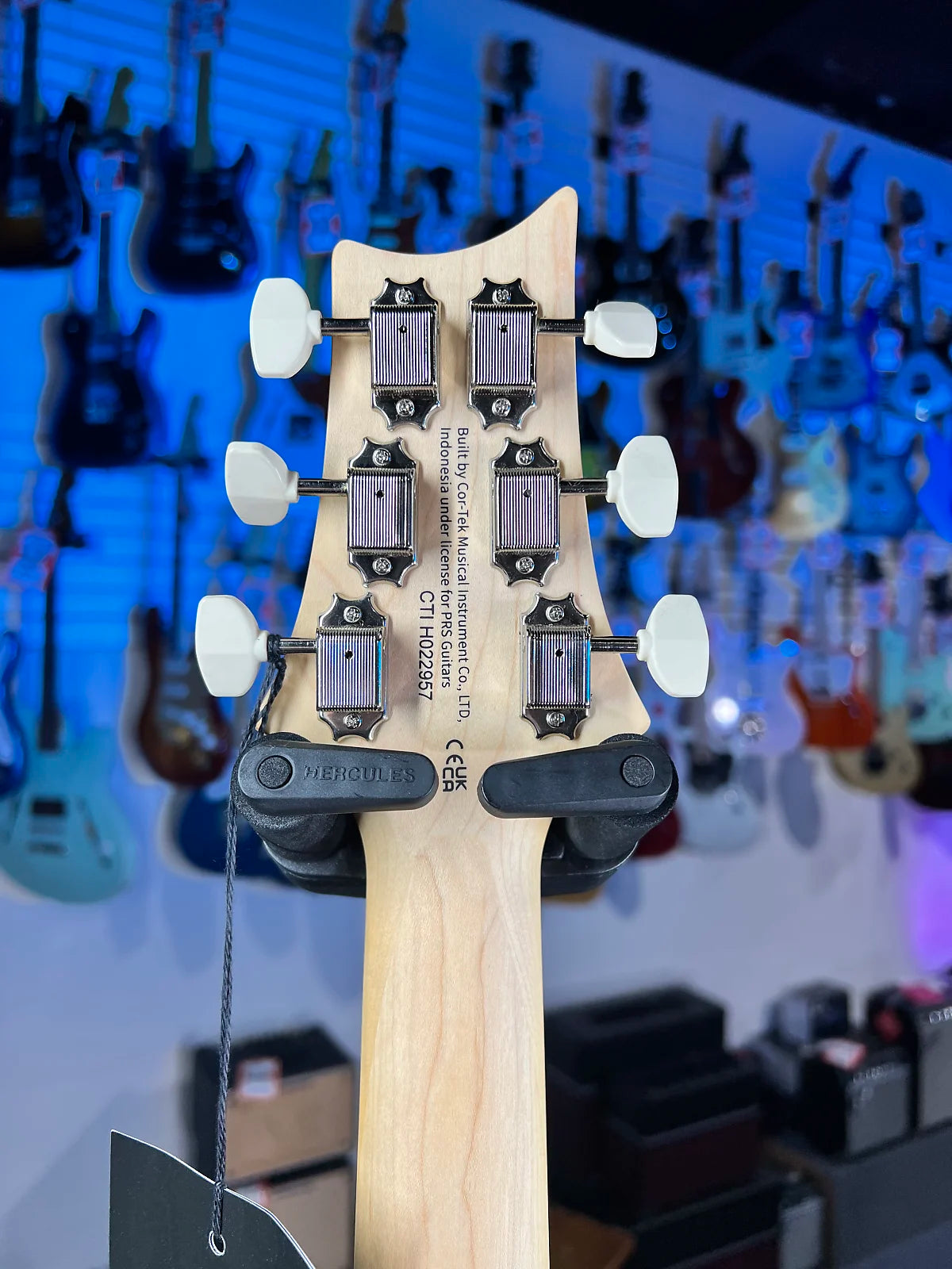 PRS SE NF53 2025 - White Doghair with PRS S2 Gig Bag, Signature Dealer, GET PLEK'D! 957
