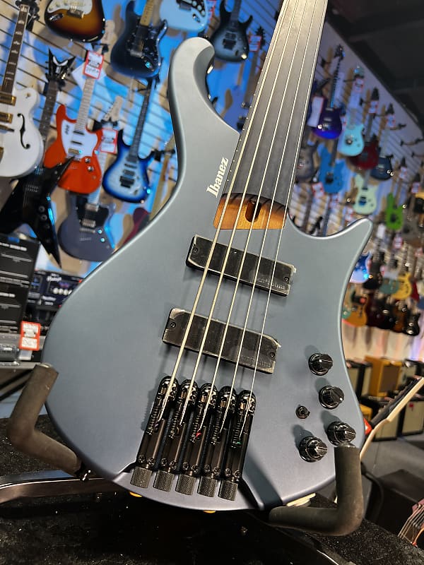 Ibanez Standard EHB1005F Fretless 5-string Bass Guitar - Arctic Ocean Matte 771 GET PLEK'D