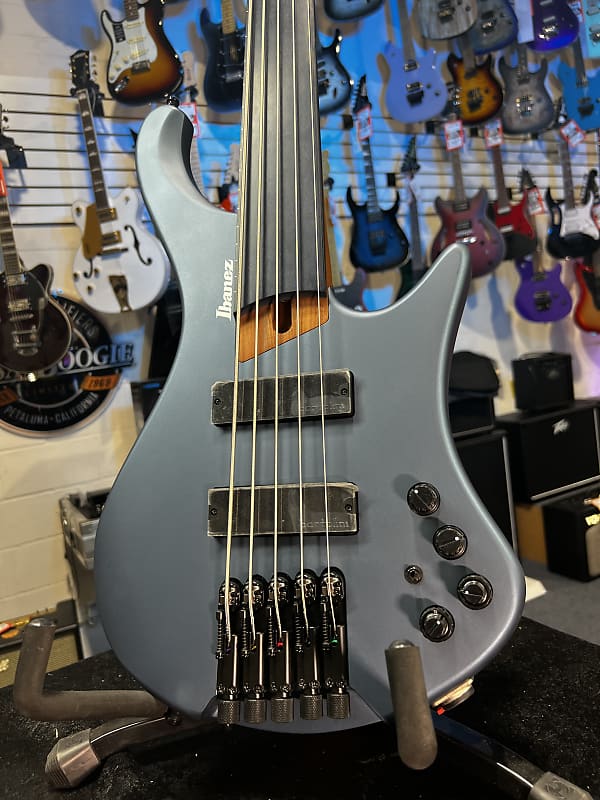 Ibanez Standard EHB1005F Fretless 5-string Bass Guitar - Arctic Ocean Matte 765 GET PLEK'D