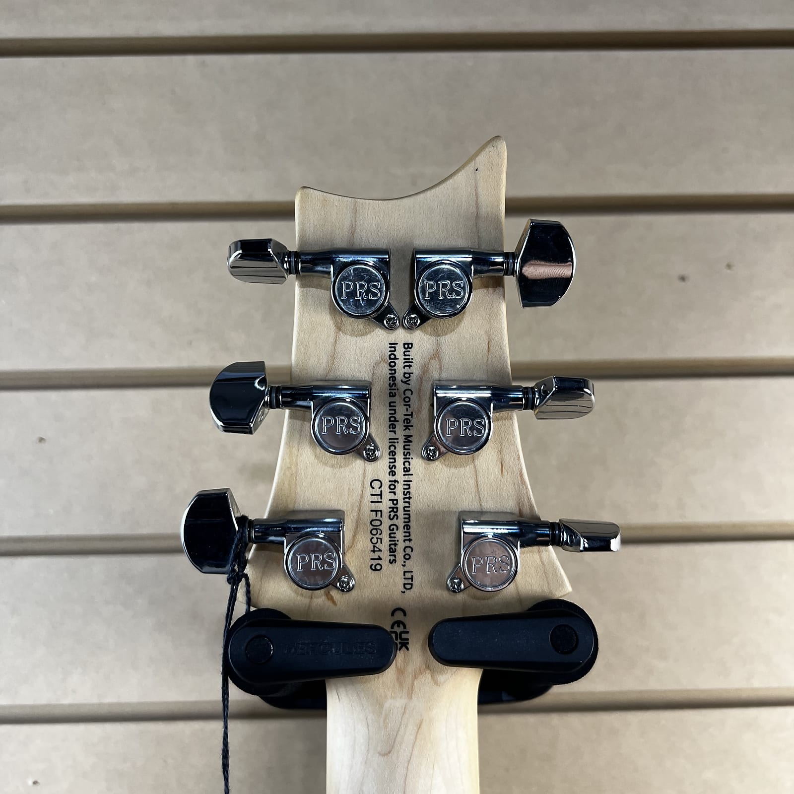 SE Swamp Ash Special - Charcoal #419