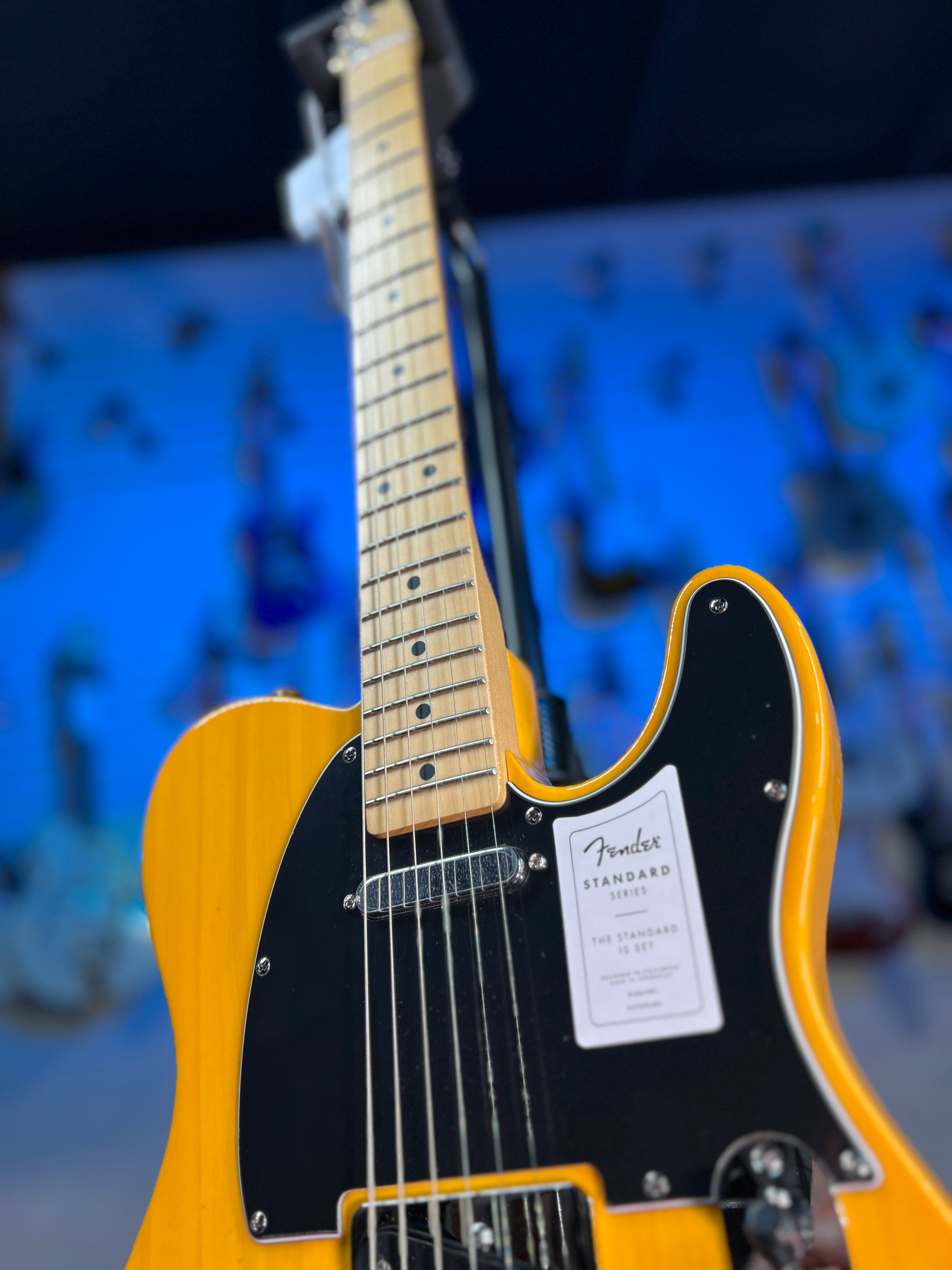 Fender Standard Telecaster Electric Guitar - Butterscotch Blonde Auth Deal Free Shipping! 769