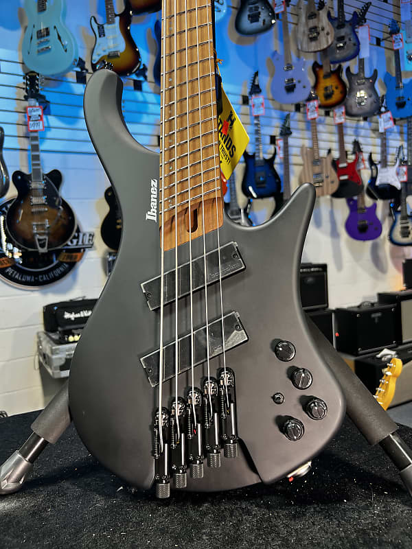 Ibanez Bass Workshop EHB1005MS Bass Guitar - Black Flat GET PLEK'D! 357