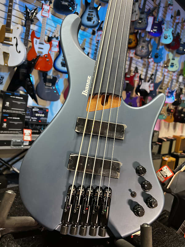 Ibanez Standard EHB1005F Fretless 5-string Bass Guitar - Arctic Ocean Matte 768 GET PLEK'D