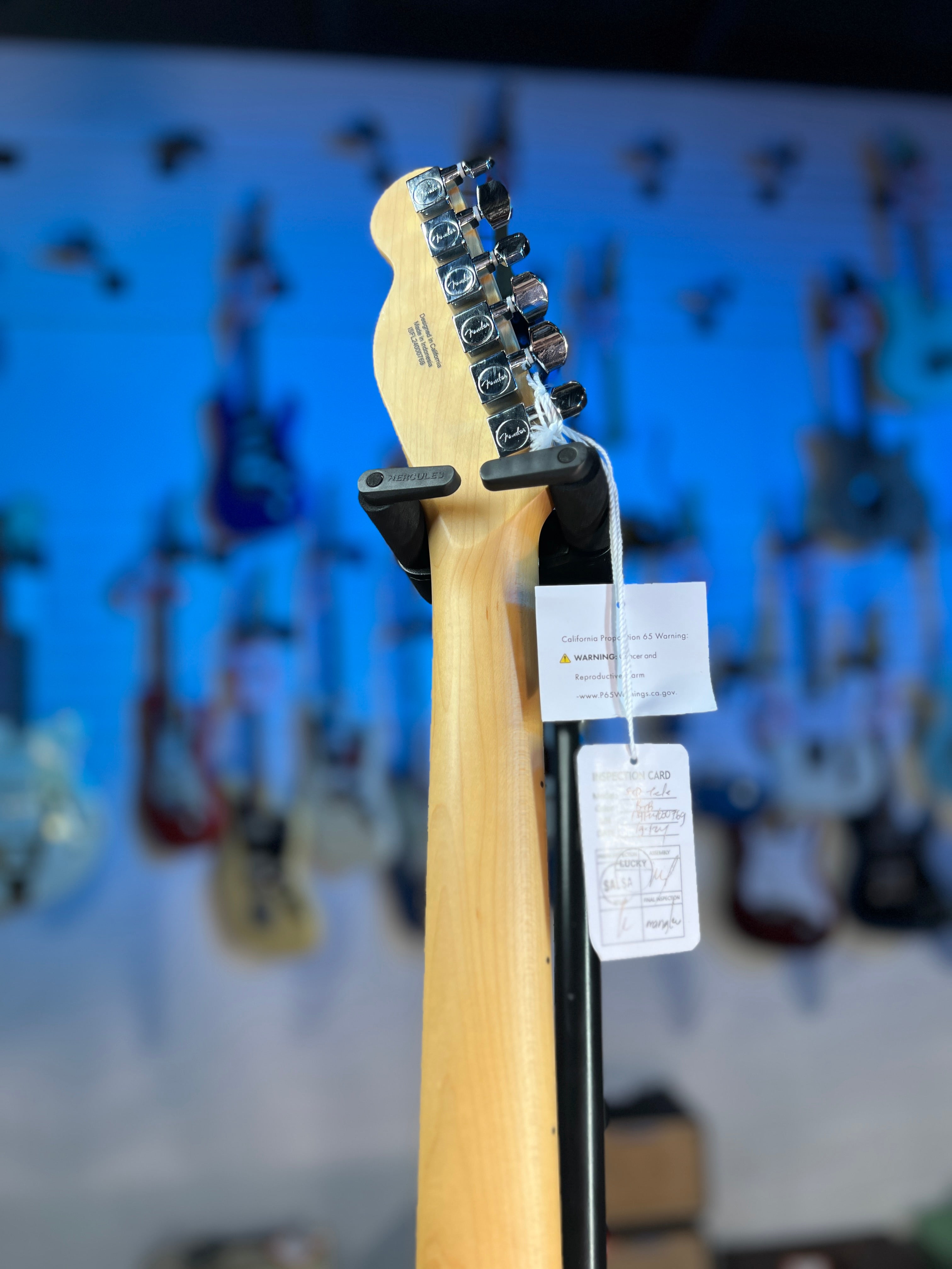 Fender Standard Telecaster Electric Guitar - Butterscotch Blonde Auth Deal Free Shipping! 769