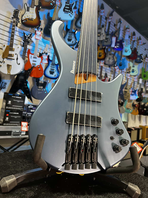 Ibanez Standard EHB1005F Fretless 5-string Bass Guitar - Arctic Ocean Matte 798 GET PLEK'D