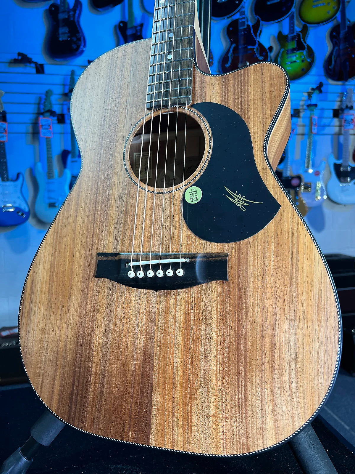 Maton Blackwood Series EBW808C Cutaway Model Authorized Dealer Free Shipping! 927 GET PLEK’D!
