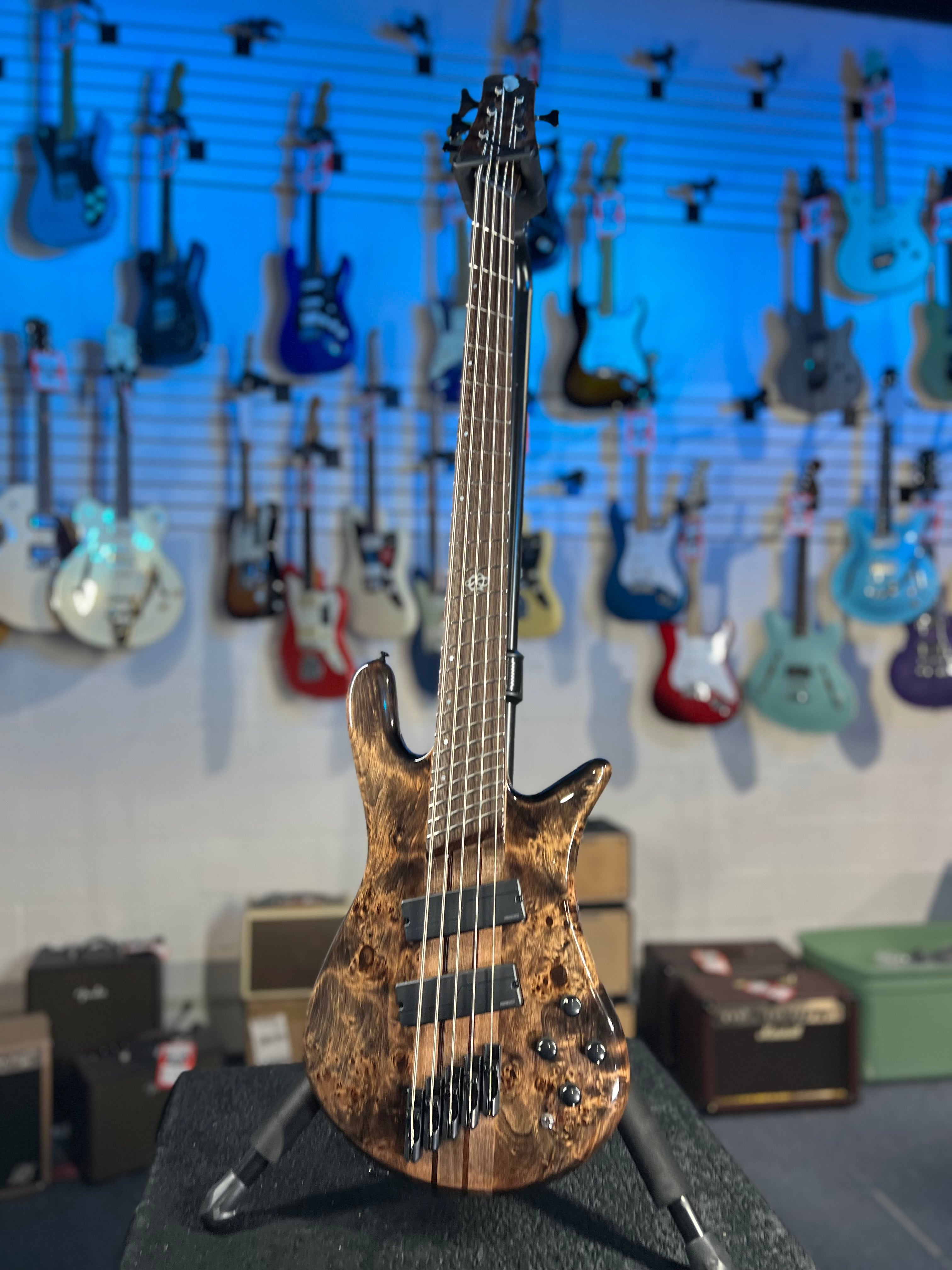 Spector NS Dimension 5 Bass Guitar - Super Faded Black Gloss, Get Plekd, 862