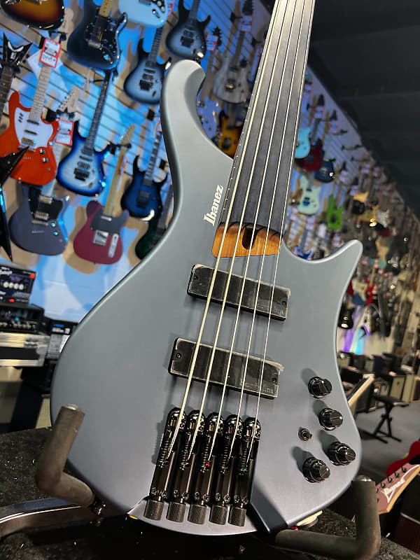 Ibanez Standard EHB1005F Fretless 5-string Bass Guitar - Arctic Ocean Matte 765 GET PLEK'D